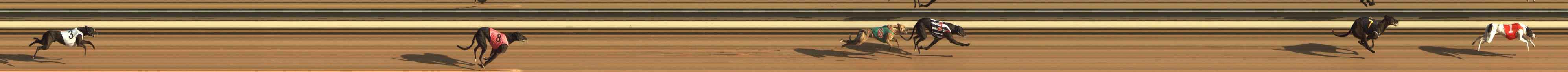 Photo finish for The Meadows Race 1