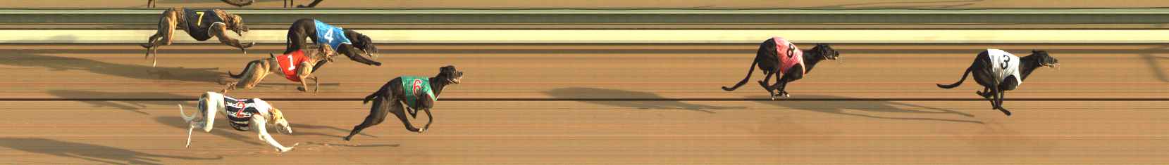 Photo finish for The Meadows Race 3