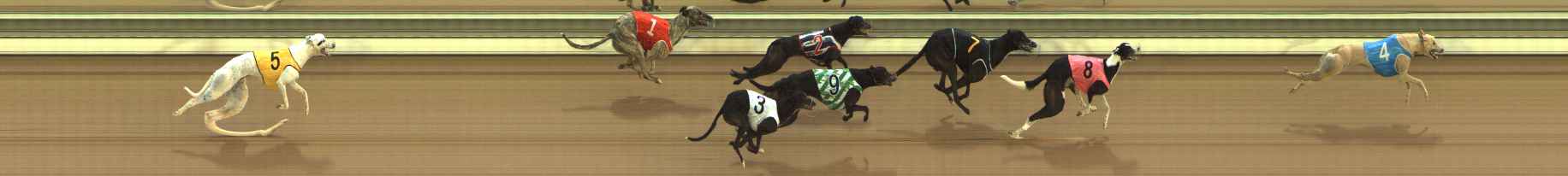 Photo finish for The Meadows Race 5