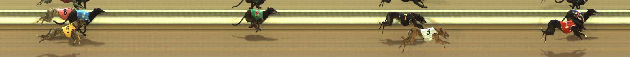 Photo finish for The Meadows Race 6