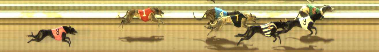 Photo finish for The Meadows Race 7
