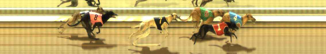 Photo finish for The Meadows Race 8