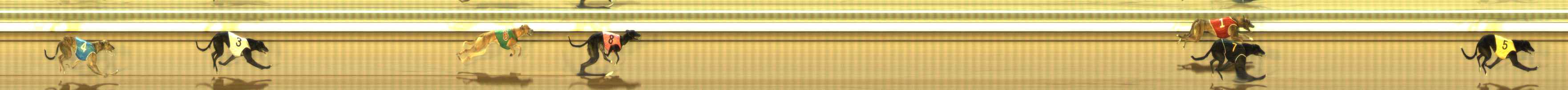 Photo finish for The Meadows Race 9