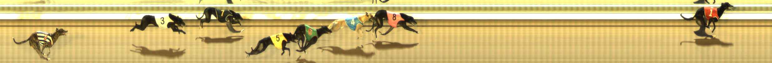 Photo finish for The Meadows Race 10