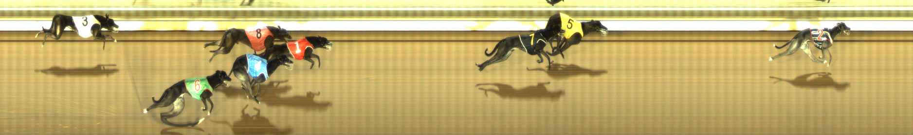 Photo finish for The Meadows Race 11