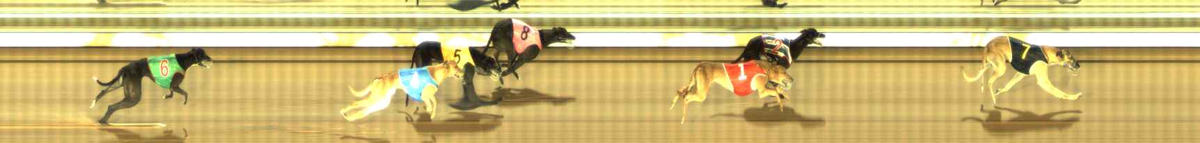 Photo finish for The Meadows Race 12