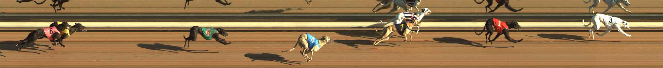 Photo finish for The Meadows Race 2