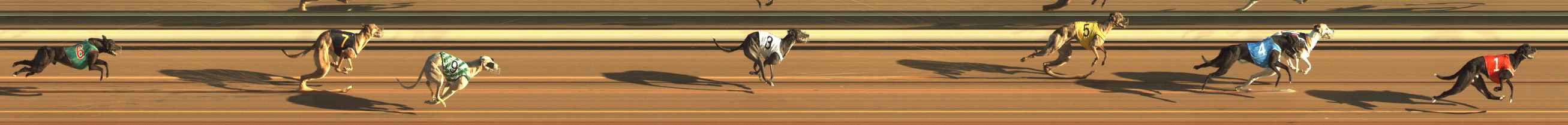Photo finish for The Meadows Race 3