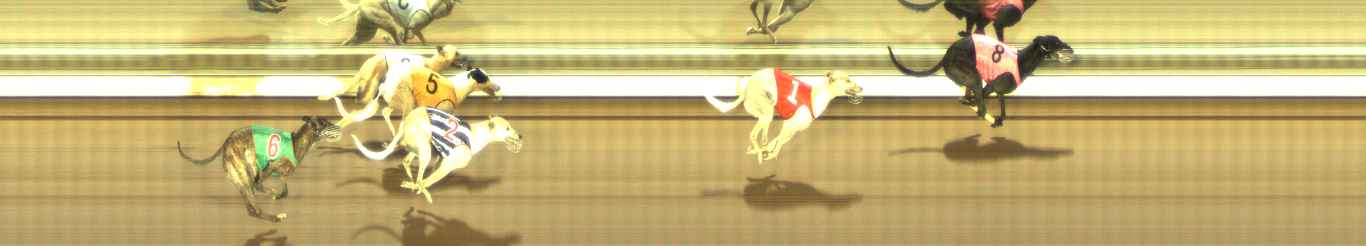 Photo finish for The Meadows Race 8