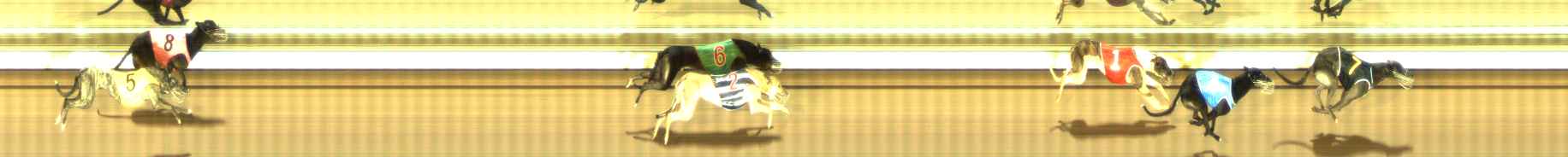 Photo finish for The Meadows Race 11
