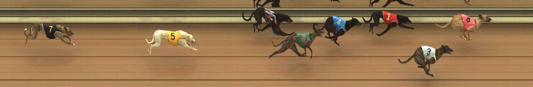 Photo finish for The Meadows Race 1