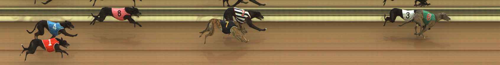 Photo finish for The Meadows Race 3