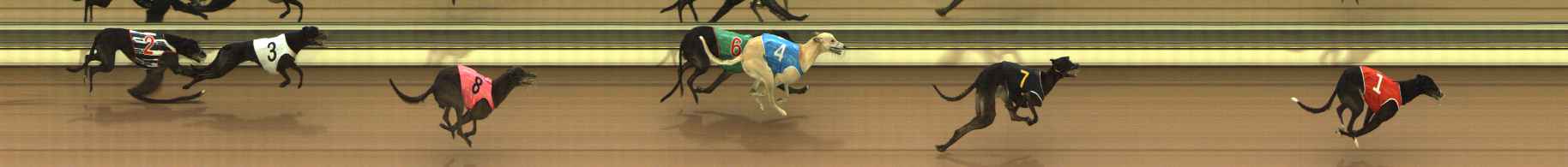 Photo finish for The Meadows Race 4