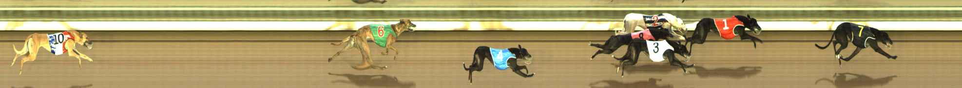 Photo finish for The Meadows Race 6