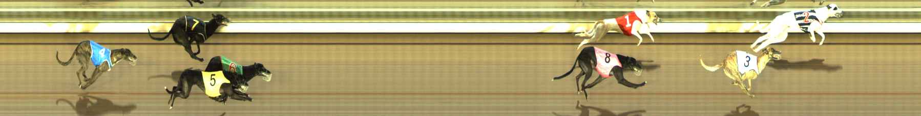 Photo finish for The Meadows Race 7