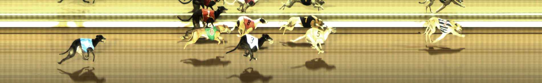 Photo finish for The Meadows Race 8