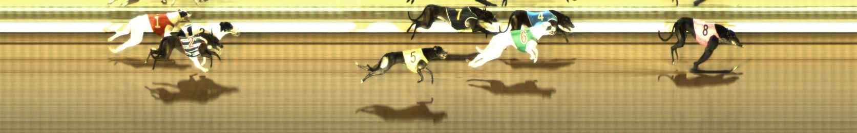 Photo finish for The Meadows Race 9