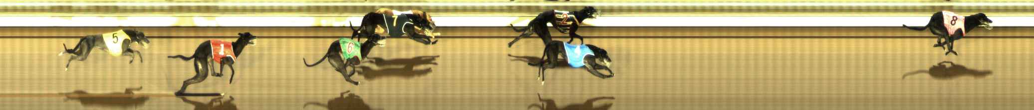 Photo finish for The Meadows Race 11