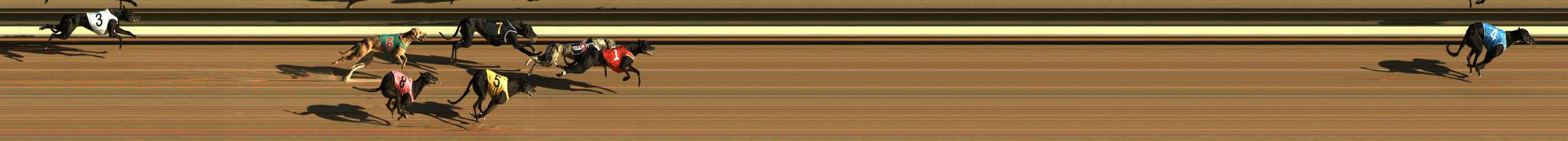 Photo finish for The Meadows Race 1