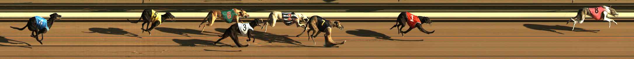 Photo finish for The Meadows Race 2