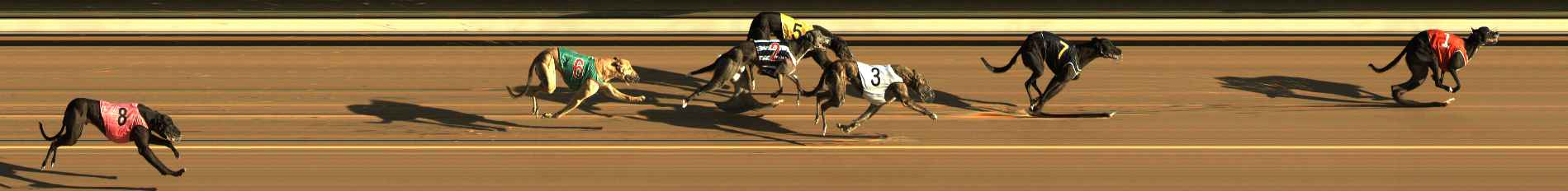 Photo finish for The Meadows Race 3