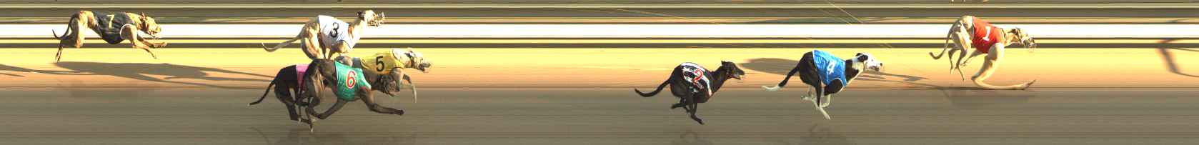Photo finish for The Meadows Race 4