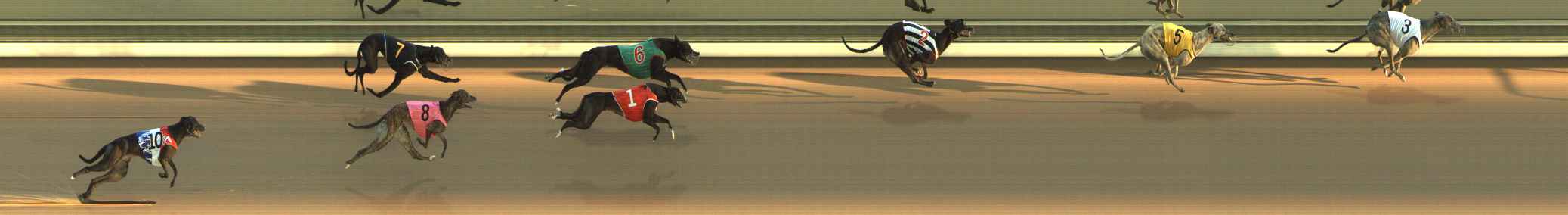 Photo finish for The Meadows Race 5