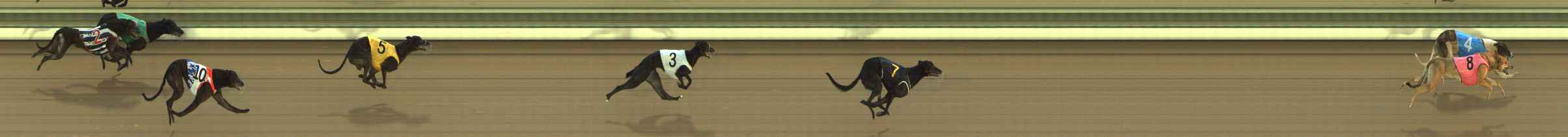 Photo finish for The Meadows Race 6