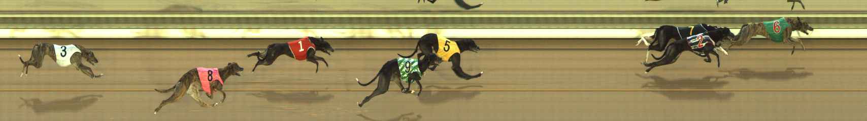 Photo finish for The Meadows Race 7