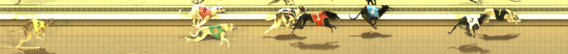 Photo finish for The Meadows Race 8