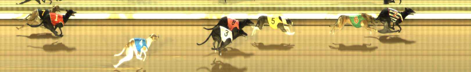 Photo finish for The Meadows Race 10
