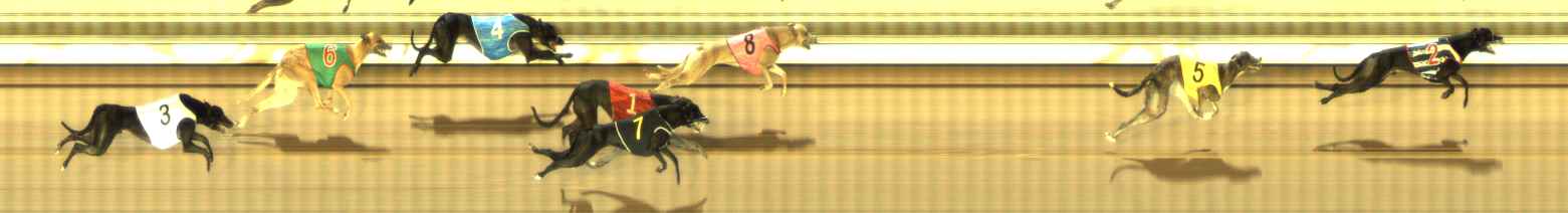 Photo finish for The Meadows Race 11