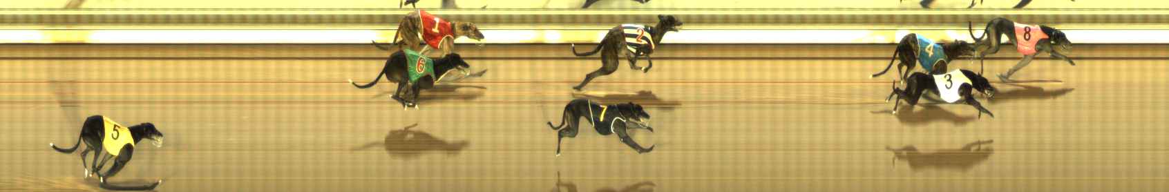 Photo finish for The Meadows Race 12