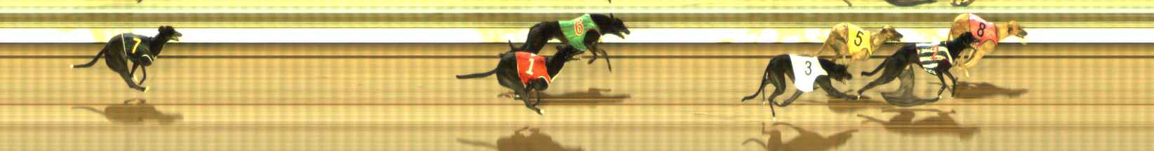 Photo finish for The Meadows Race 12