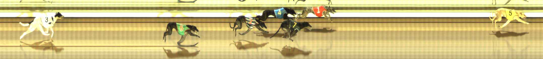 Photo finish for The Meadows Race 5