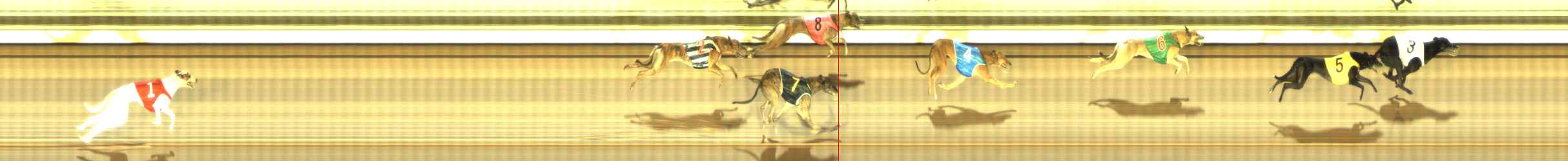 Photo finish for The Meadows Race 8