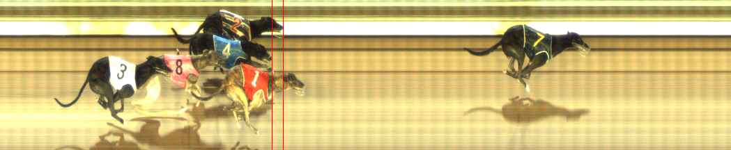 Photo finish for The Meadows Race 10