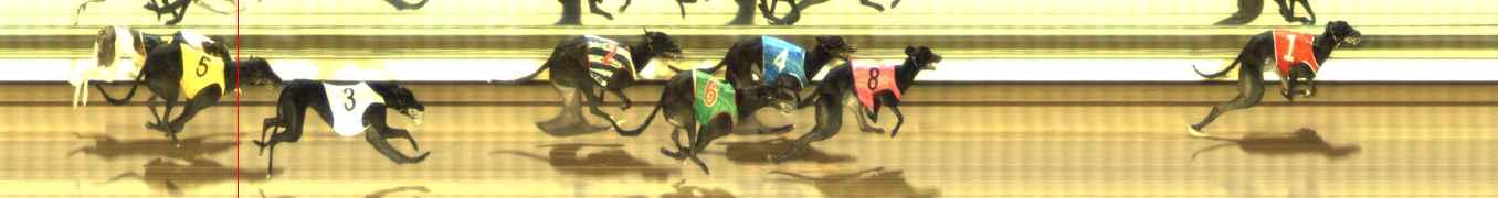 Photo finish for The Meadows Race 11