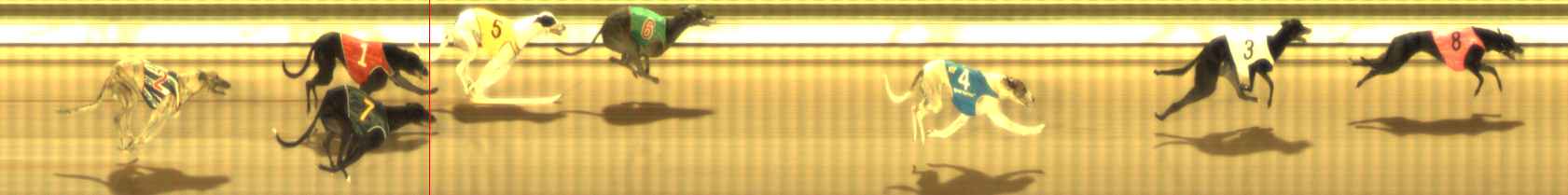 Photo finish for The Meadows Race 8