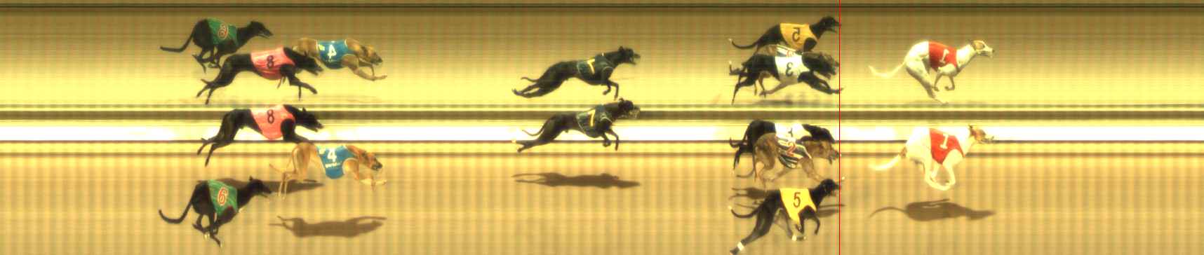 Photo finish for The Meadows Race 9