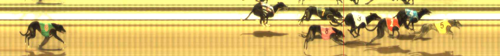 Photo finish for The Meadows Race 10