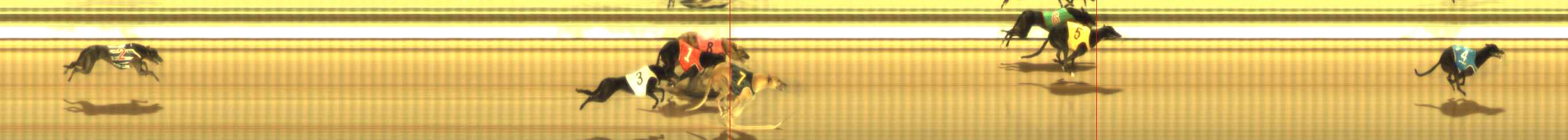 Photo finish for The Meadows Race 11
