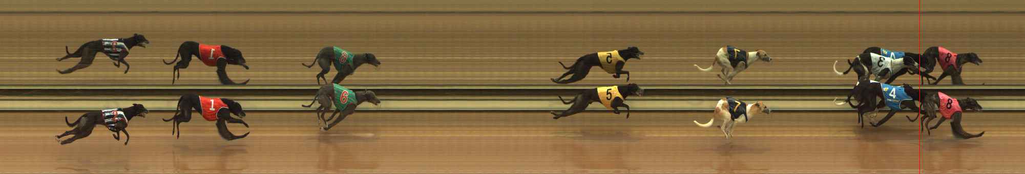 Photo finish for The Meadows Race 1