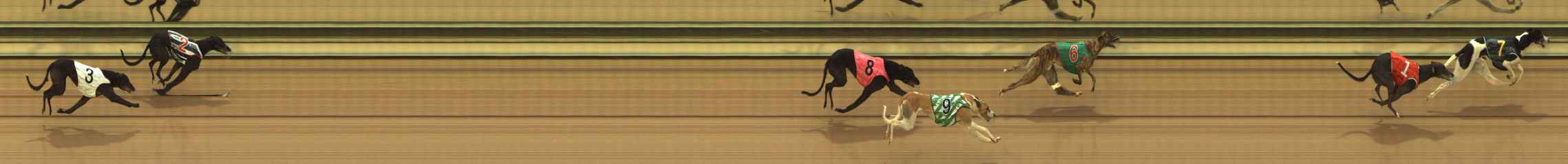 Photo finish for The Meadows Race 2