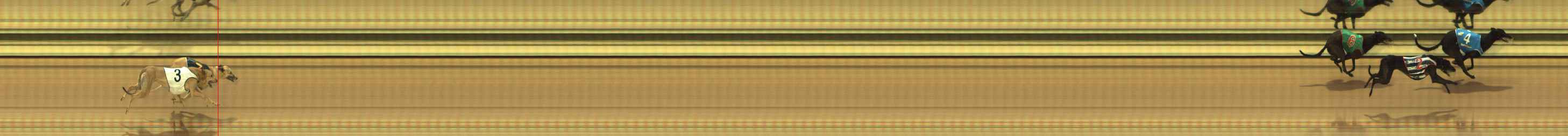 Photo finish for The Meadows Race 4