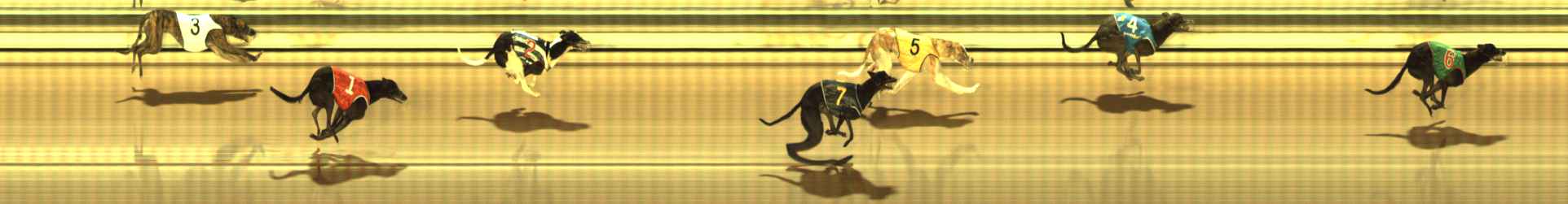 Photo finish for The Meadows Race 8