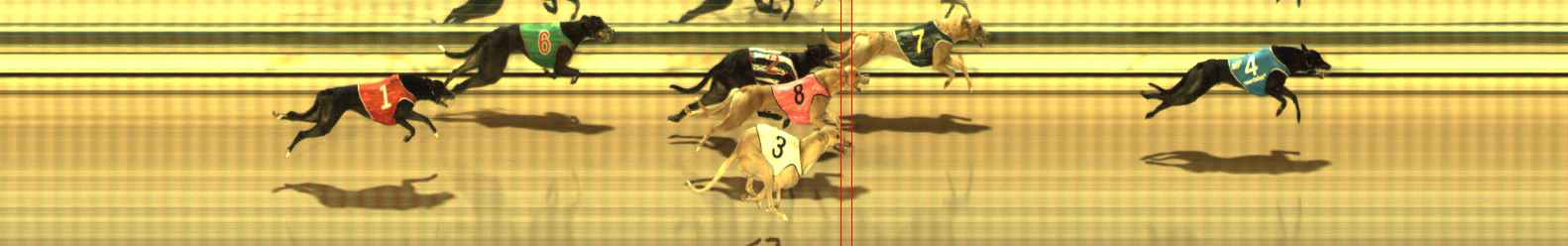 Photo finish for The Meadows Race 9