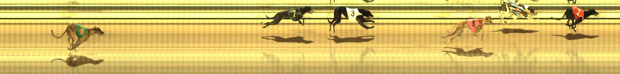 Photo finish for The Meadows Race 10