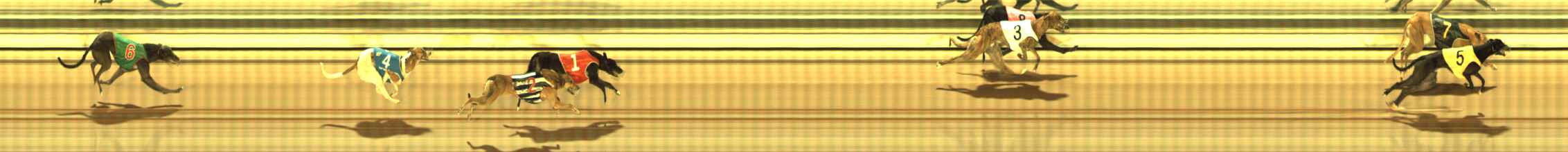 Photo finish for The Meadows Race 11