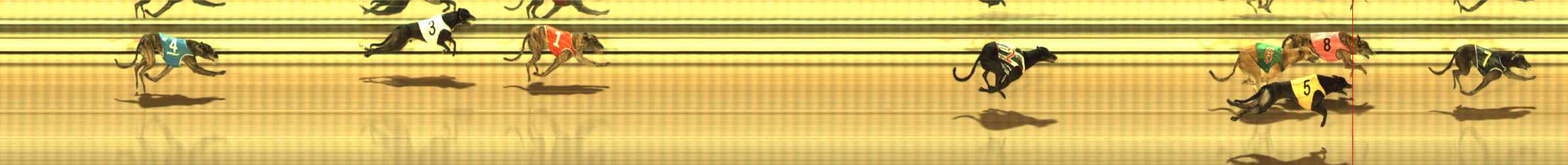 Photo finish for The Meadows Race 12
